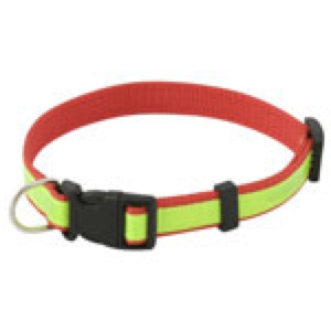 Hunde Halsband mit Druck